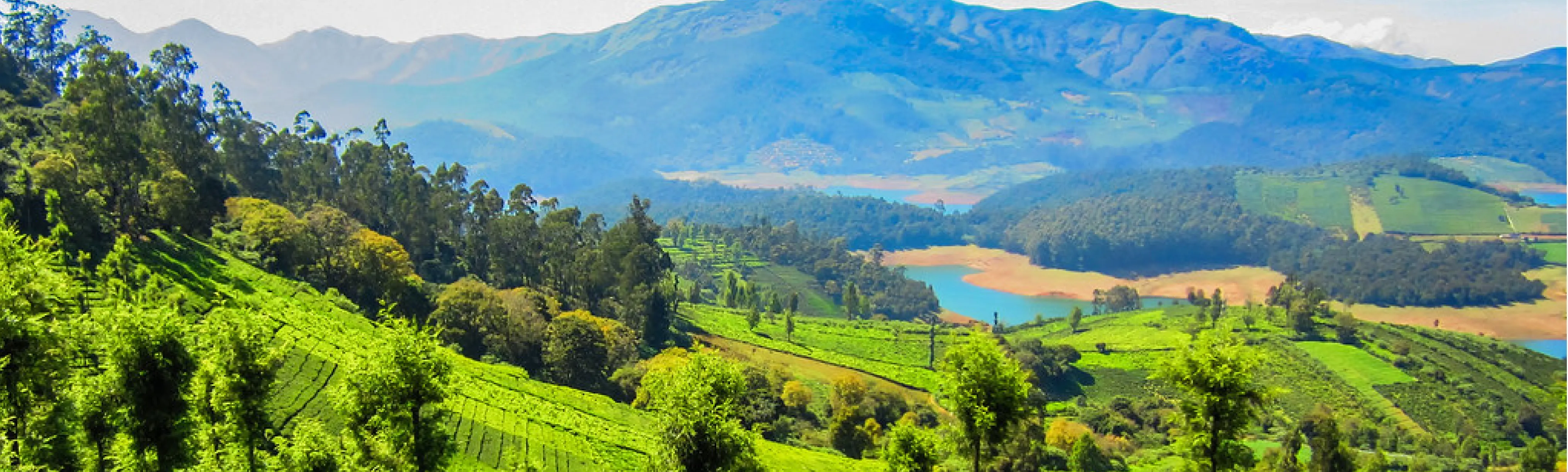 Meenakshi Amman Temple