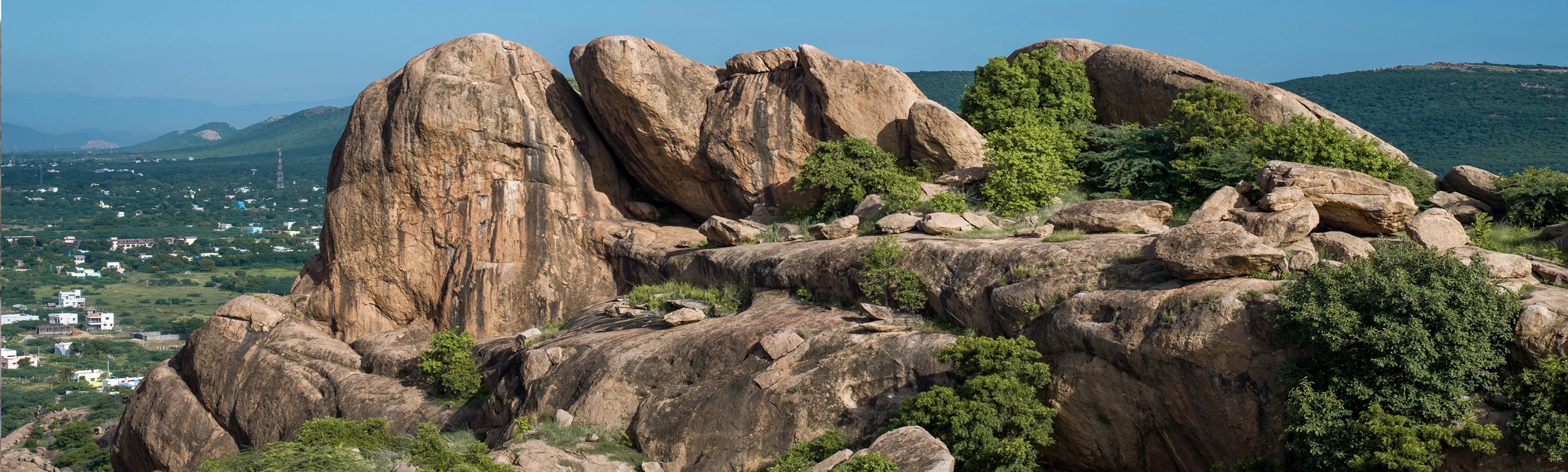 Meenakshi Amman Temple